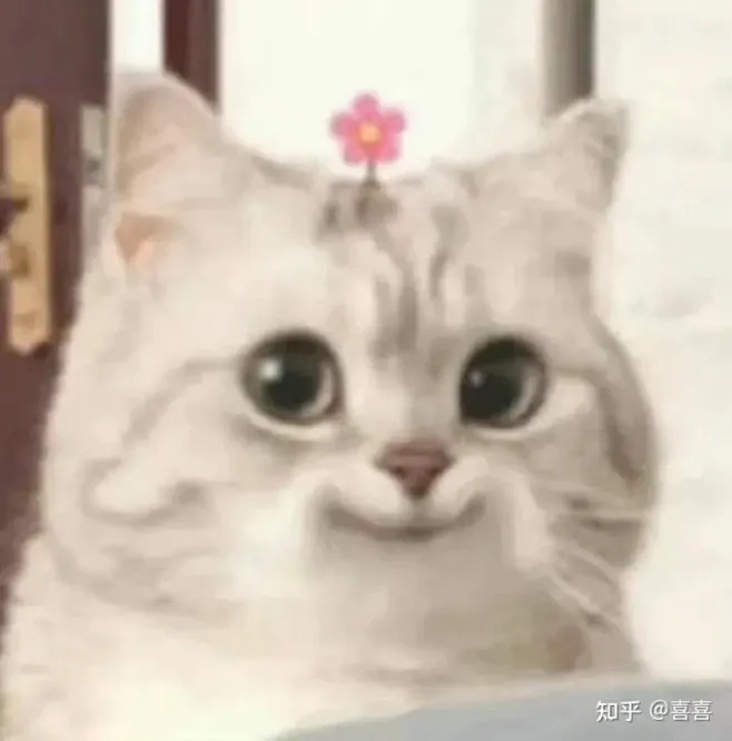 暗夜中的Apex大师，他们的秘密竟然是这样！