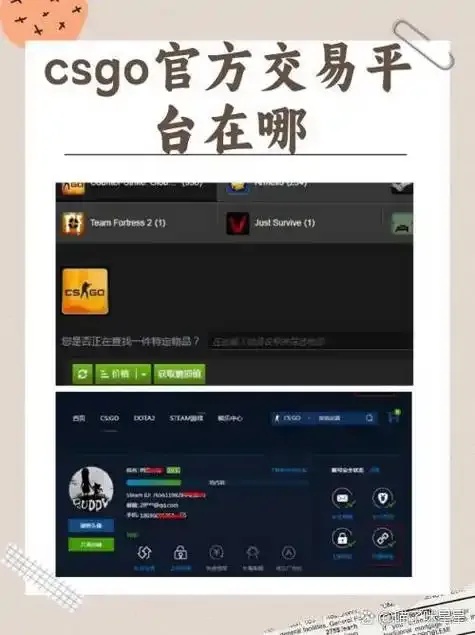 CSGO辅助AW官网
