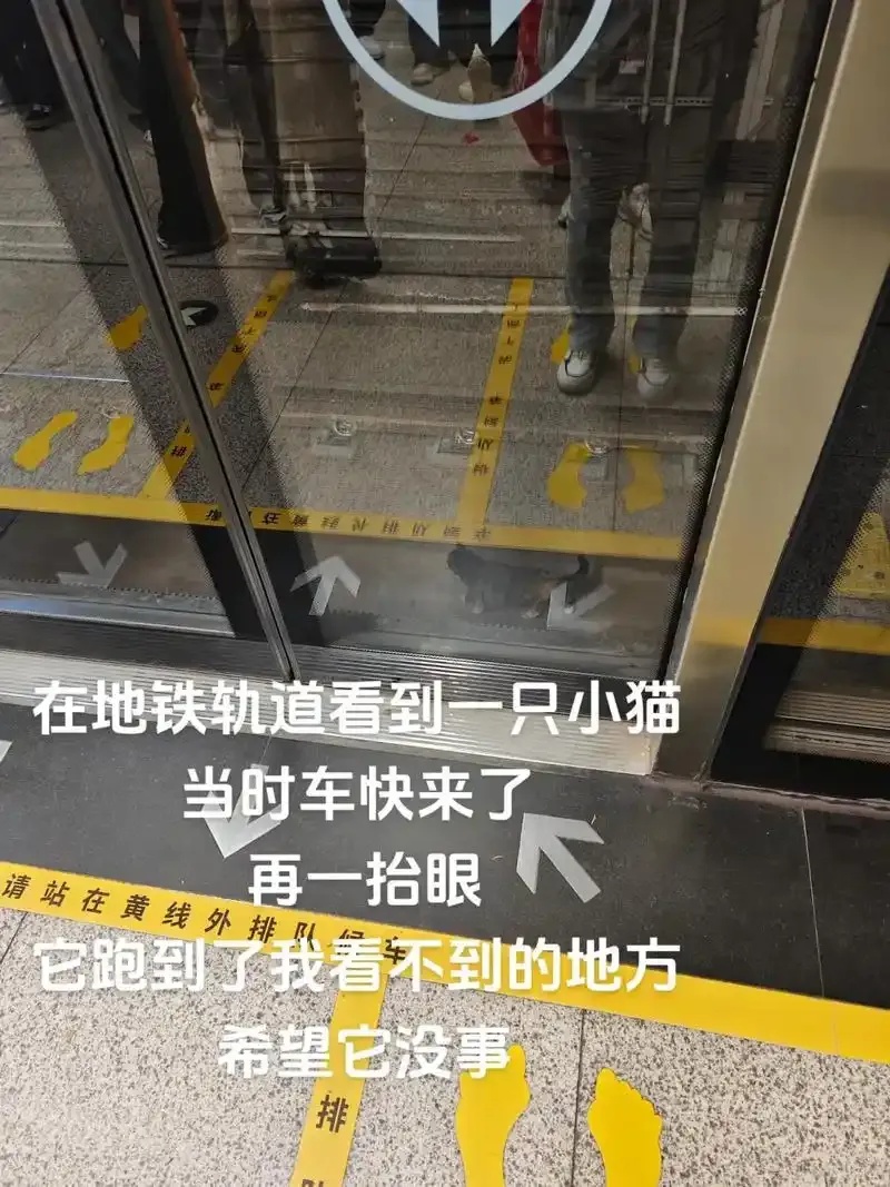 臭猫地铁日记：扫号趣事