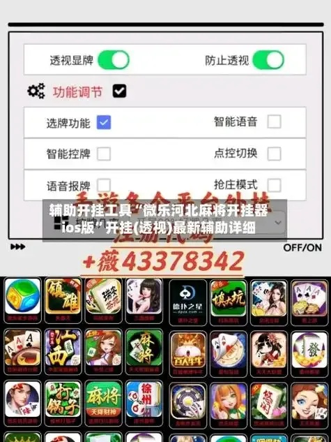 免费透视外挂工具：手机版下载与iOS安装指南