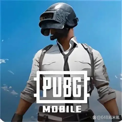 一键直装！PUBG国际服免Root安装方法