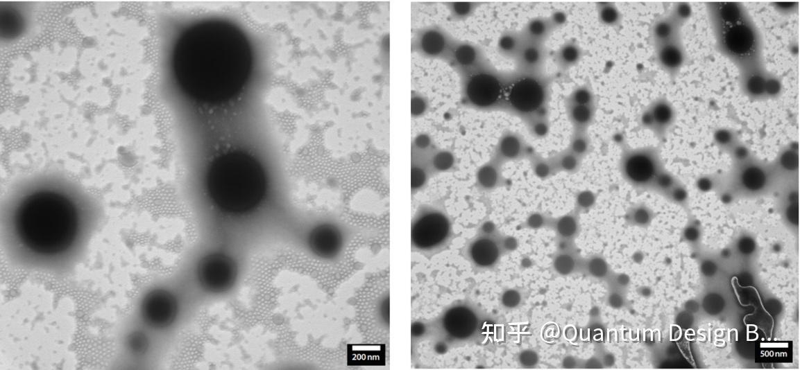 QQ炫舞竟有这种自动登录黑科技？